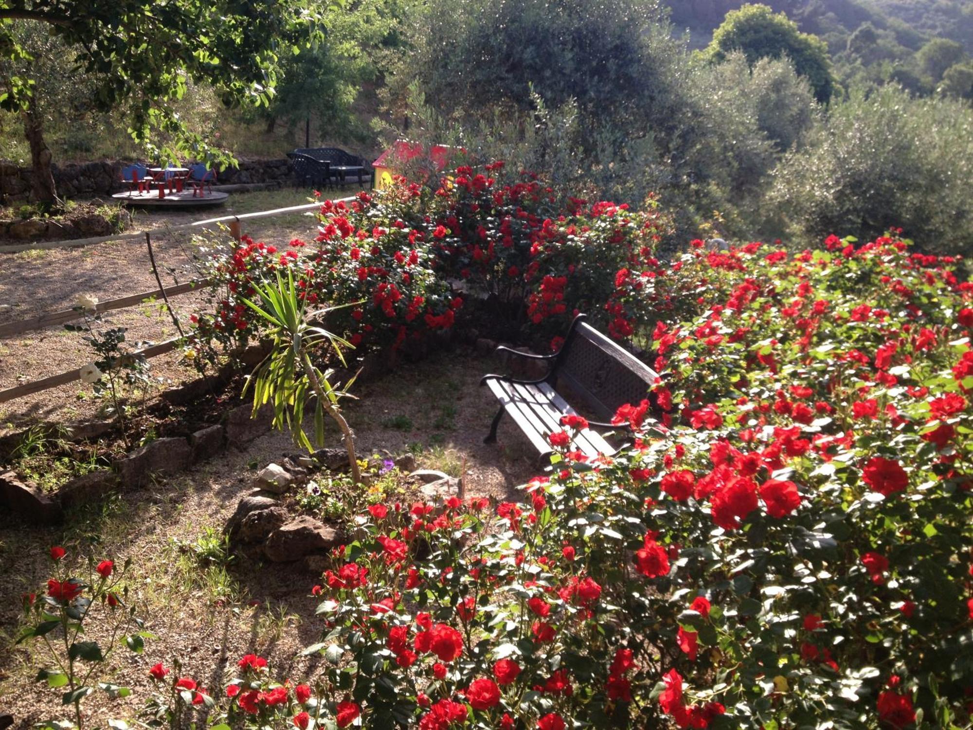 Agriturismo Al Poggetto Piana Degli Albanesi Esterno foto