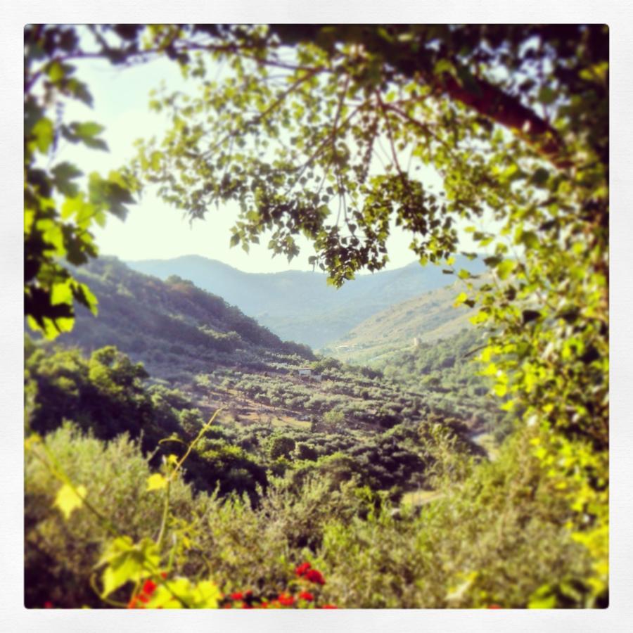Agriturismo Al Poggetto Piana Degli Albanesi Esterno foto