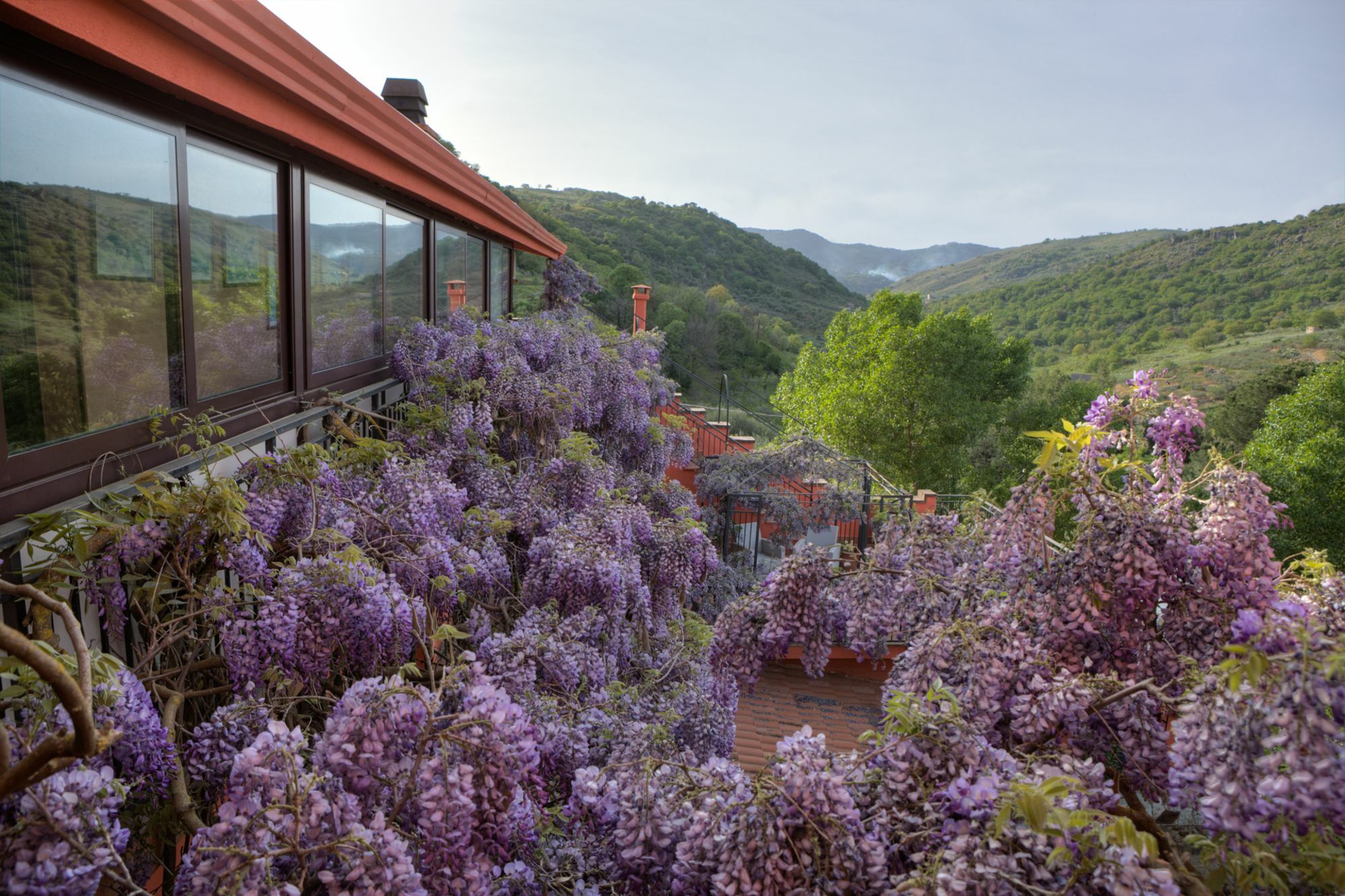 Agriturismo Al Poggetto Piana Degli Albanesi Esterno foto